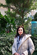 Ukrainian mail order bride Vanda from Kyiv with brunette hair and blue eye color - image 5